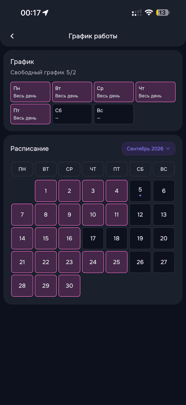 График работы в приложении NOKI